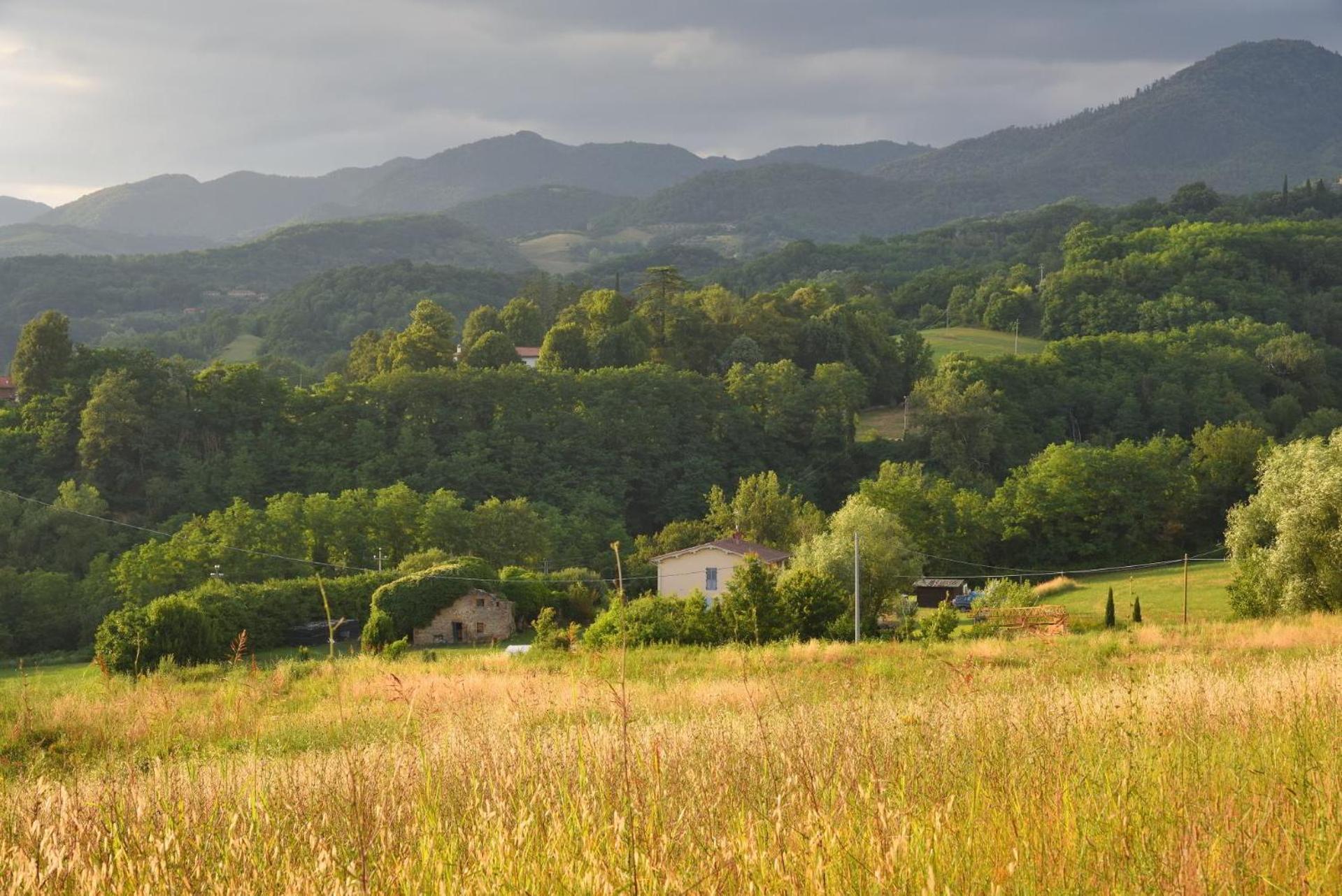 Il Fienile Di Margherita Vicchio Exterior foto